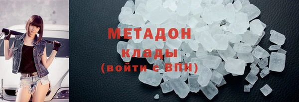 прущие грибы Заволжье