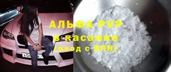 стафф Зеленокумск