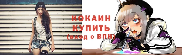 прущие грибы Заволжье