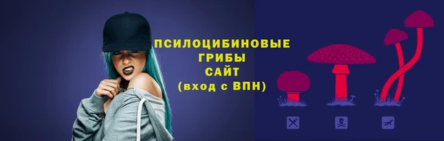 синтетический гашиш Зерноград