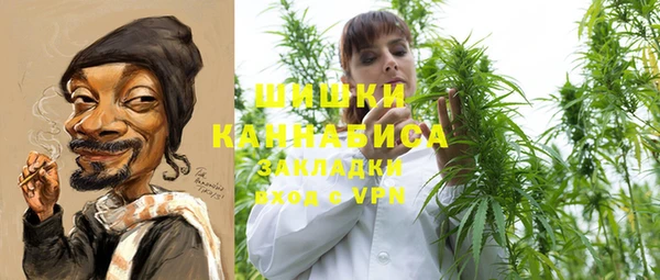 прущие грибы Заволжье
