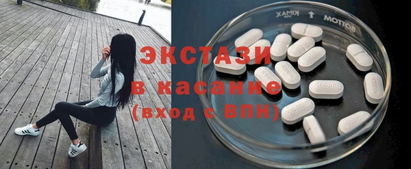 прущие грибы Заволжье