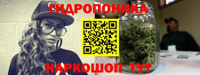 гашик Краснодар