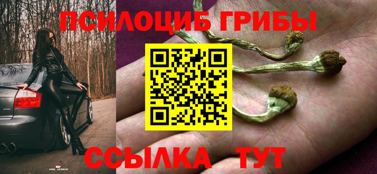 Псилоцибиновые грибы прущие грибы  Вход с VPN  Галлюциногенные грибы ЛСД  Рыбинск 